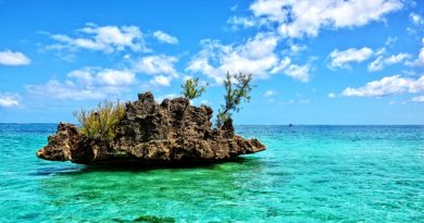 Crystal Rock a Mauritius