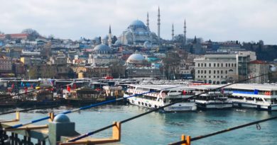 Ponte di Galata e Soulimaniye Cameii