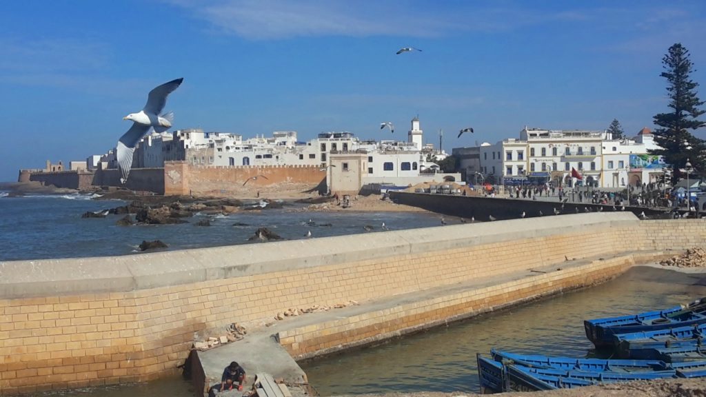 Essaouira - la città bianca